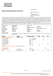 2025-12-04 - SGS - Análisis GoA